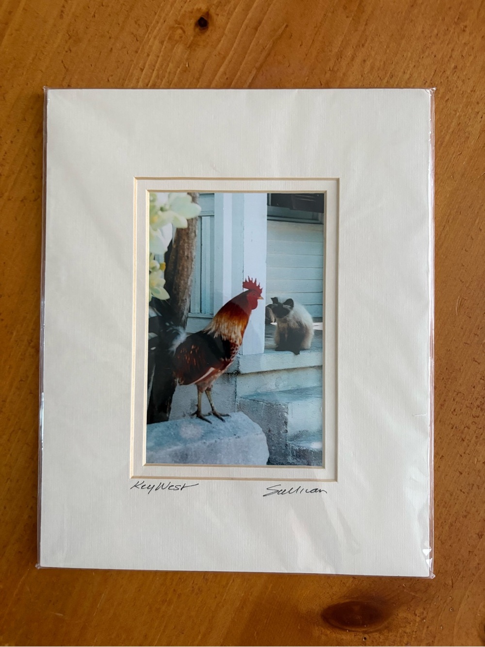 Matted Key West Print by Don Sullivan, Cat & Chicken, Brand New